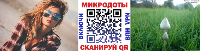 как найти закладки  Городовиковск  Галлюциногенные грибы MAGIC MUSHROOMS 